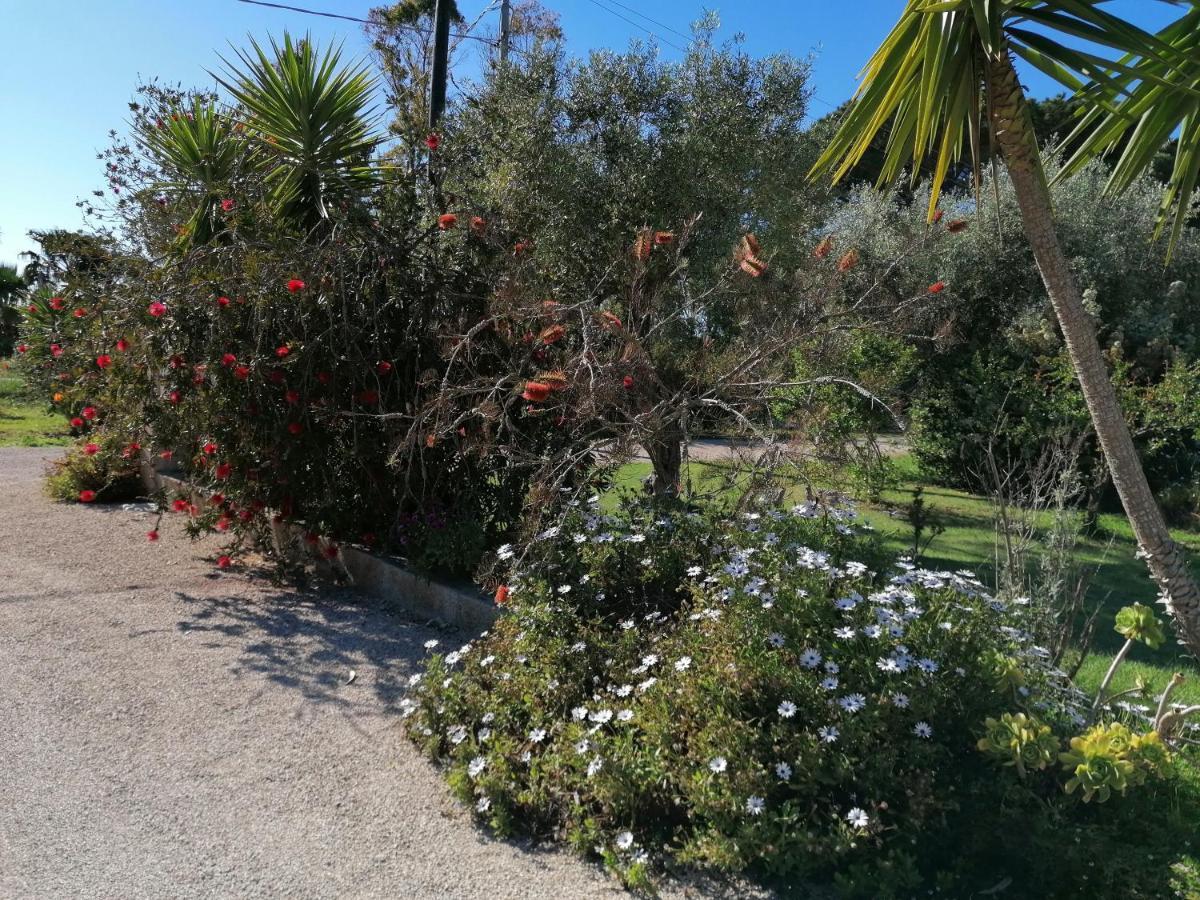 Il Patio Alghero Santa Maria la Palma Εξωτερικό φωτογραφία